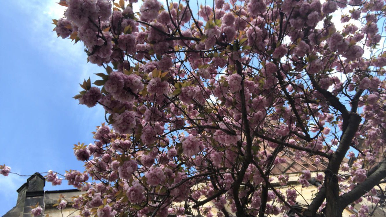 6BAE5BC6-08F9-42C9-955E-022F6D21EB38